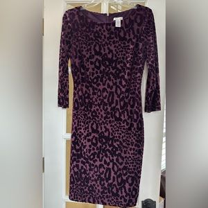 CACHÉ Leopard Dress